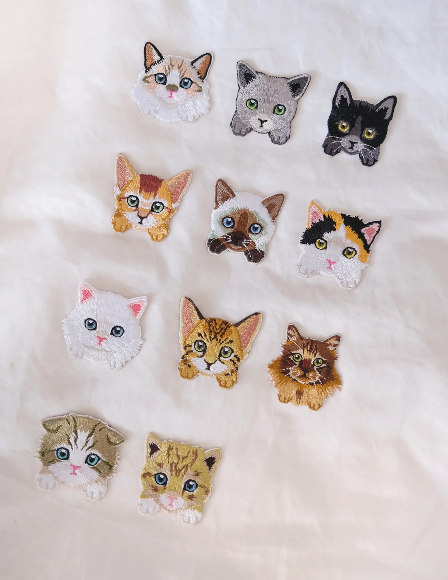 Chinchilla Kitten Iron-on Patch - Image 6